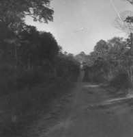 Estrada pioneira através da capoeira do desmatamento inicial da rodovia Abunã-Rio Branco (AC)