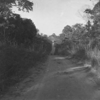 Estrada pioneira através da capoeira de desmatamento inicial da rodovia Abunã-Rio Branco (AC) (AC)