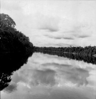 Aspecto do Rio Negro (AM)