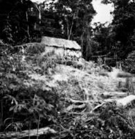 Casa de caboclo  no paraná da floresta, Rio Negro (AM)