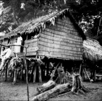 Casa de caboclo no paraná da floresta , Rio Negro (AM)
