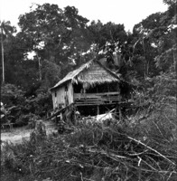 Casa de caboclo no paraná da floresta, Rio Negro (AM)