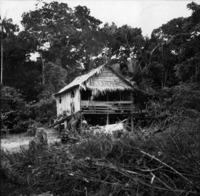 Casa de caboclo no paraná da floresta , Rio Negro (AM)
