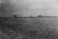 Campos tipo savana, logo após a cidade de Calçoene no Município de Oiapoque (AP)