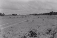 Povoamento disperso nucleado, campos firmes em Macapá (AP)