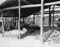 Casa de farinha em Fortim (CE)