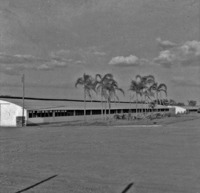Aviários da fazenda do Torto : Brasília (DF)
