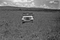 Jeep do CNG no cerrado para Planaltina (GO)