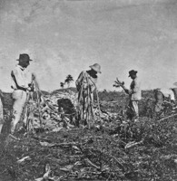 Trabalhadores da colônia agrícola de Ceres (GO)