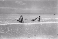 Mulheres pescando camarão com rede na Praia de Tambaú em João Pessoa (PB)
