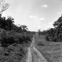 Frente do desmatamento da CIB na estrada Abunã-Rio Branco a 58km para leste da divisa Rondônia-Acre (RO)