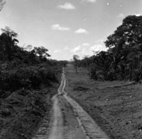 Frente do desmatamento da CIB na Estrada Abunã - Rio Branco a 58km a leste da divisa Acre-Rondônia (RO)