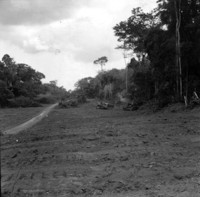 Desmatamento da BR - 364 entre Abunã e Marmelo (RO)