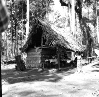 Casas de palha dos trabalhadores no garimpo de Rondônia (RO)