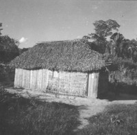 Casa  de tábuas verticais, pau-a-pique e palha na BR-319 pouco do norte de Guajará -Mirim (RO)