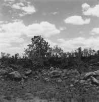 Caos de pedras em granito numa bacia intermontana no norte de Roraima vendo-se vegetação de cerrado degradado (RR)