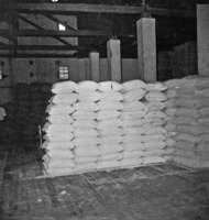 Sacos de trigo estocados no armazém da Cia. Bech (RS)