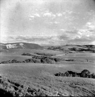 Vista dos campos na estrada de Lajes-Vacaria (SC)