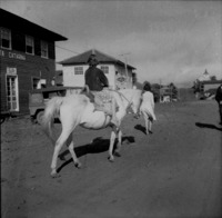 Uma mulher montada a cavalo (SC)