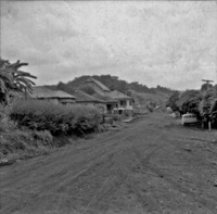 Casas de colonos em São João (SC)