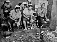 Mulheres quebrando cocos em Aracaju (SE)