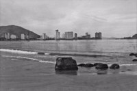 Aspecto parcial da cidade de Santos, vendo-se os edifícios altos que margeiam a praia (SP)