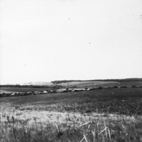 Superfície de campos : terra arada : Município de Registro : excursão à região sul, 1972 (SP)