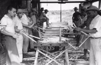 Homens, mulheres e crianças descascando o palmito na Fábrica de Palmito e Manjuba Caiçara (SP)