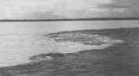 Encontro das águas dos rios Negro e Solimões em Manaus (AM)