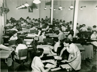 Censo de 1950 : setor de perfuração