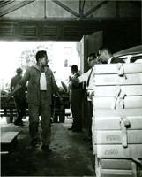 Censo de 1960 : saída do material censitário vendido para trituração