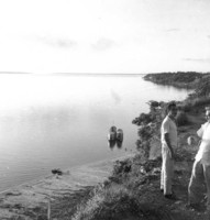 Bairro São Jorge vendo-se barranco à margem do Rio Negro : Praia Ponta do Boiuçu em Manaus  (AM)
