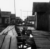Rua de madeira na cidade flutuante em Manaus (AM)