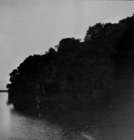 Rio Negro com detalhe de mata em Manaus (AM)