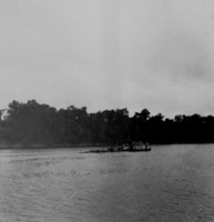 Rio Negro, detalhe de embarcação e mata no município de Apuã (AM)