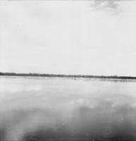 Afloramento do cristalino no leito do rio, no último plano mata em terra firme no Rio Negro, território de Roraima, próximo a foz do Rio Branco (AM)