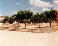 Vista parcial da cidade : Guajeru, BA