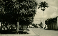 Vista parcial da cidade : São Gonçalo dos Campos, BA