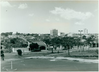 Vista [panorâmica] da cidade : Araguari, MG