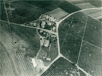 Vista aérea do Centro Rural de Limeira : Limeira (SP)