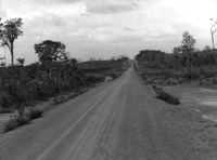 Relevo ondulado e pastos em formação na Perimetral Norte em Roraima