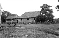 Sede do Seringal São Luís,à margem esquerda do rio Abunã. Construção feita com paxiuba batida e coberta com folhas de palmeiras. (AC)