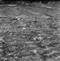 Cascalheira de piçarra (laterito pisolítica) em solo florestal (AC)