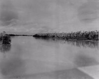 Carnaubal na margem do Rio Banabuiú em Limoeiro do Norte (CE)