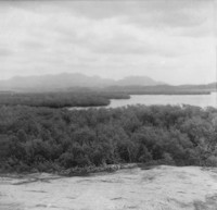 Paisagem local - Sambaquis de dimensões modestas, Baiaca, à margem direita do rio Piraquê-Açu (ES)