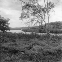 Paisagem local - Sambaquis de dimensões modestas, Baiaca, à margem direita do rio Piraquê-Açu (ES)