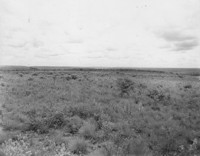 Vista em direção noroeste-este dos campos no alto da Serra de Maracaju perto de Campo Grande (MS)