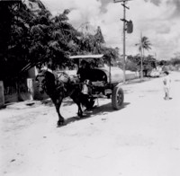 Transporte de querosene em Recife (PE)