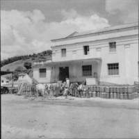 Cooperativa Agro-pecuária de Macuco Ltda. (1949) O leite é transportado por caminhões em latões : Município de Macuco (RJ)