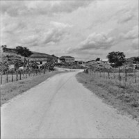 Sede de fazenda ao norte de MIracema : Produção cana e gado (RJ)
